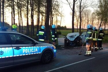Auto uderzyło w drzewo. 3 osoby, w tym dziecko, przetransportowane do szpitala