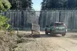 Majówka na granicy. 400 imigrantów chciało przedostać się do Polski