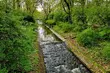 Pierwszy weekend maja zapowiada się na chłodny, ale i słoneczny