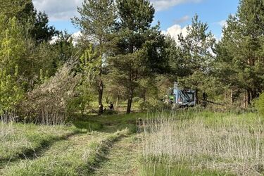 Mieszkańcy Wygody alarmują. Urokliwy lasek poszedł pod topór