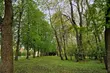 Robi się coraz cieplej. Termometry wskażą 16°C