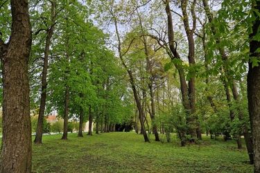 Robi się coraz cieplej. Termometry wskażą 16°C