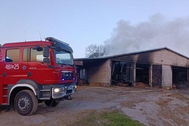 Tragiczny pożar obory. Spaliło się 115 krów