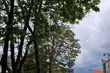 Wtorek pochmurny, ale za to suchy