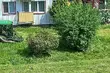 Mieszkanka os. Białostoczek sprzeciwia się koszeniom traw. Dlaczego jest to szkodliwe?