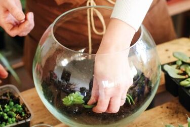 Warsztaty dla rodzin. Zrób las w słoiku i weź go do domu