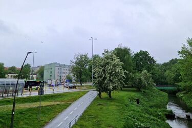 Piątek pochmurny, choć pojawią się przejaśnienia 