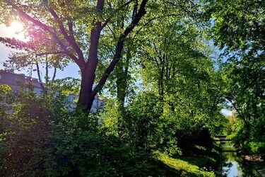 Przed nami ciepły i słoneczny weekend