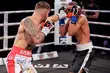 Knockout Boxing Night w Operze. Efektowne zwycięstwa Szeremety i Włodarczyka