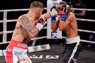Knockout Boxing Night w Operze. Efektowne zwycięstwa Szeremety i Włodarczyka