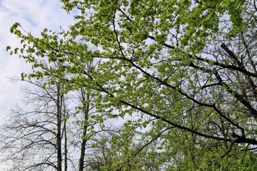 Jaka pogoda czeka nas we wtorek?