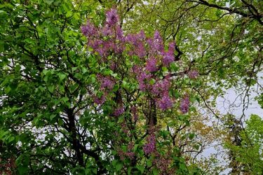 To będzie najcieplejszy dzień od początku roku