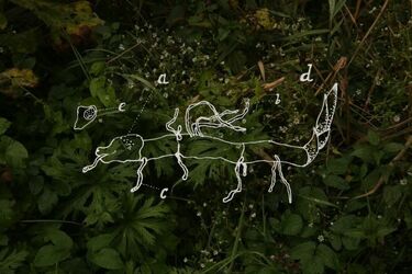 Można wybrać się na "Spacer o zmierzchu"
