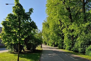 W piątek słońca nie zabraknie