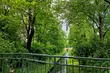 Słoneczny poniedziałek. Ile będzie stopni?