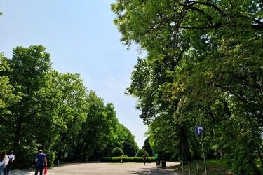 Przed nami 150. dzień roku