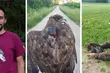 Białystok łączy siły z Estonią. Naukowcy będą realizować milionowy projekt