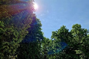 Półmetek tygodnia z niekorzystnym biometem