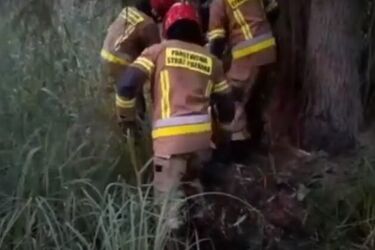 Akcja ratownicza w rezerwacie. Syryjczyk utknął na bagnach [WIDEO]