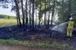 Wysokie zagrożenie pożarowe. Także w podlaskich lasach
