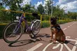 Coraz więcej kradzieży rowerów w powiecie białostockim. Jak tego uniknąć?