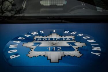 9-latek wybiegł wprost pod jadące auto