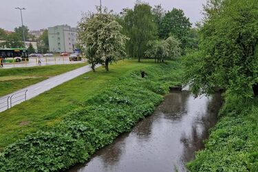 Do końca roku pozostało 200 dni