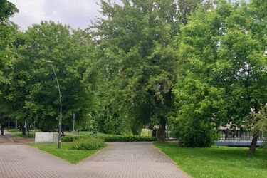 Półmetek czerwca będzie burzowy. IMGW ostrzega