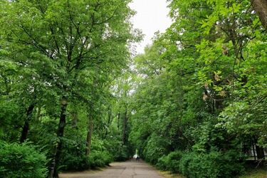 Z początkiem tygodnia temperatura znacznie wzrośnie