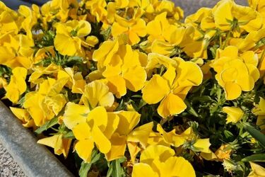 To będzie najcieplejszy dzień w tym roku