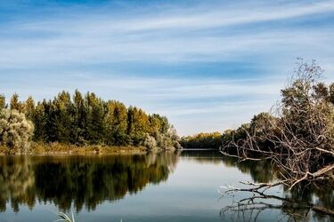 W rzece znaleziono ciała dwóch osób