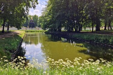 Radnej przeszkadzają komary na Plantach. Prezydent odpowiada 