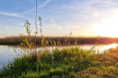 Rozpoczynamy lato kalendarzowe