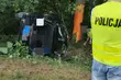 25-latka uderzyła w drzewo. Zginęła na miejscu