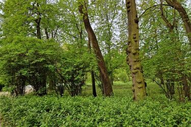 Piątek wciąż ciepły, ale bardziej deszczowy