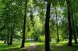 Gorący początek tygodnia. Mogą być burze