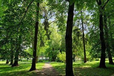 Gorący początek tygodnia. Mogą być burze