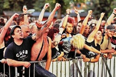 Muzycy rockowi zagrają na bagnach w celu ochrony środowiska