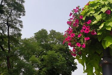 W Białymstoku czeka nas ochłodzenie 