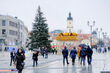 Choinka na Rynek Kościuszki poszukiwana