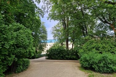 Synoptycy prognozują burze