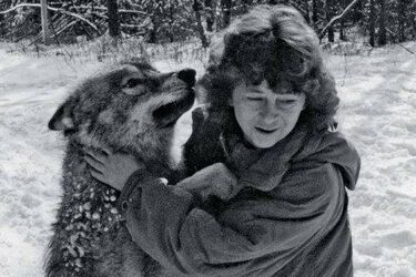 Tajemnice rodzinne i Puszcza Białowieska. Polski film w kinie plenerowym