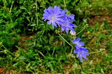 Początek tygodnia zapowiada się na pełen słońca