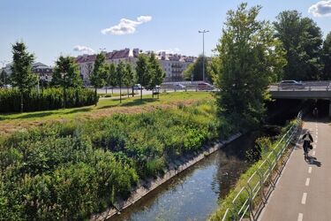 Czwartek pogodny, ale biomet znów będzie niekorzystny