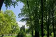 Przed nami upalny weekend. Termometry wskażą do 34°C