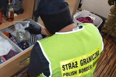 Narkotykowa grupa przestępcza rozbita. Zatrzymano kolejnych członków [WIDEO]