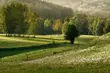 Jej prace były na wielu wystawach i zdobyły uznanie. Spotkanie z artystką
