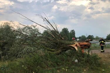 Wieczorne i nocne burze. W Podlaskiem interweniowało 546 strażaków