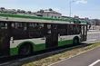 Gapowicze są winni niemal 500 mln zł. Mandatów przybywa głównie młodzieży