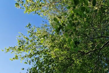 Wtorek pełen słońca, ale może zagrzmieć